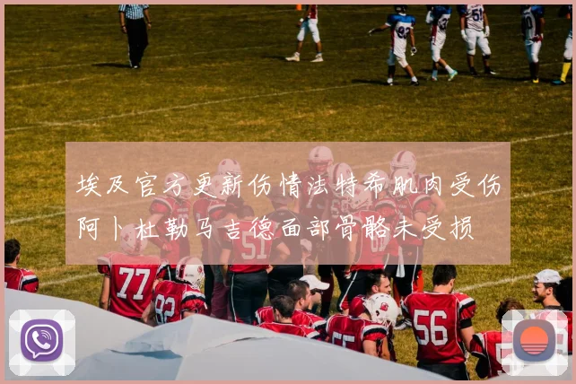 埃及官方更新伤情法特希肌肉受伤阿卜杜勒马吉德面部骨骼未受损
